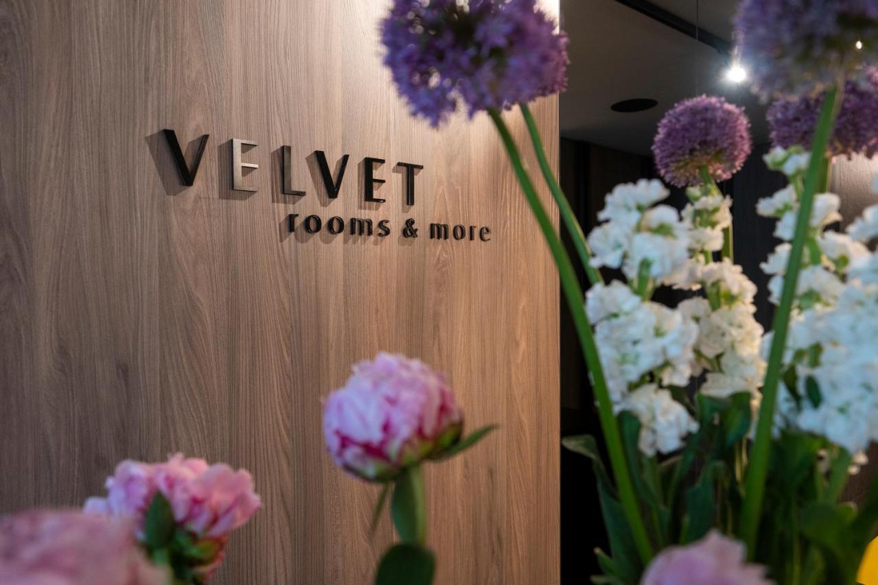 Velvet Rooms & More Zadar Dış mekan fotoğraf